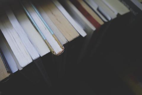 Image from Pixabay
