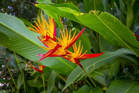 Image from Pixabay