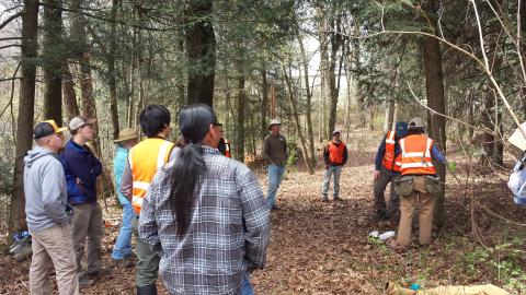 Photo courtesy of Hemlock Restoration Initiative Participants at a hemlock treatment demonstration look on as HRI employees teach how to chemically treat a hemlock.