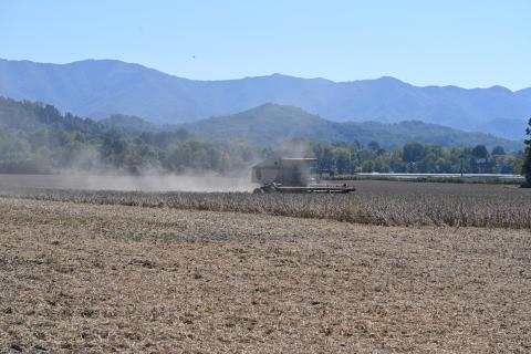  Ed Wood harvest soybeans on the farm that has been in his family since the early 1900s. (Credit: Eric Haggart)