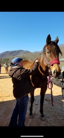 Coggins Clinic is this Saturday