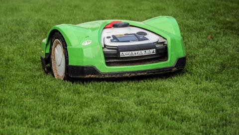 Image from Pixabay