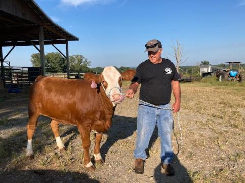 Marcia Barnes • Clay County Progress Ronald Townley holds a light lead rope on Astrid, an award-winning Full Blood Simmental heifer.