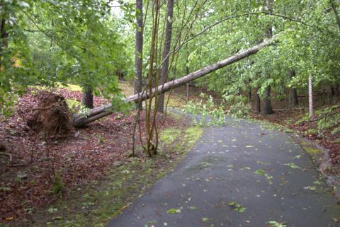 Sam Jokich/Staff Correspondent The thunderstorm that rolled into Cherokee County late on the night of May 8 left behind lots of damages in Peachtree and beyond, including on Shadow Lane in Tar Heel. Cherokee County Emergency Management said the area “experienced significant storm damage overnight.”