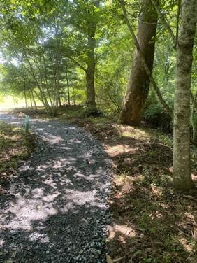 Take a break in the shade and enjoy recent improvements to the Quanassee Path.