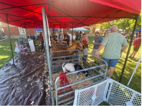 Visitors visit the Clay County 4-H Livestock exhibit to check out all of the hard work the local youth have been doing with their animals.