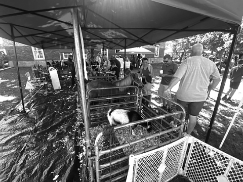 Visitors visit the Clay County 4-H Livestock exhibit to check out all of the hard work the local youth have been doing with their animals.