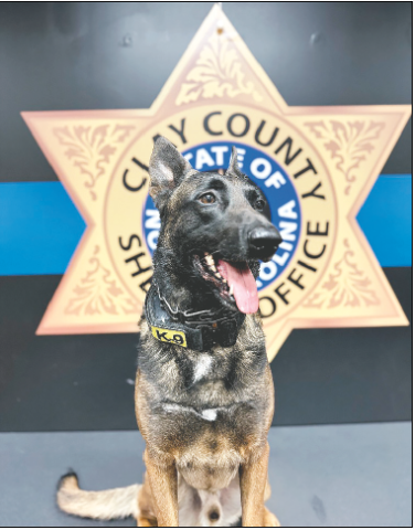 “Luca,” the K-9 officer and handler Sgt. Steven Smith, work as a team. “Luca” has been credited with a number of drug busts and confiscation of narcotics. The sheriff’s office is in need of a second K-9 team and a local group is raising money to help them reach that goal with a fundraiser at Mountain Harbour.