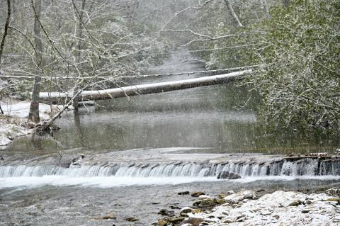 Fires Creek