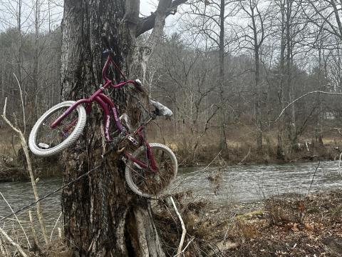Lorrie Ross • Clay County Progress A girl's bicycle hangs in a tree beside the Doe River, as if a little girl will return for it soon. It came from upriver, possibly miles away.