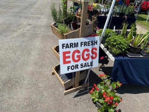 Clay County Farmers Market moves back to the Hayesville square from 9 a.m. to 12 p.m. Thursdays beginning May 8 through Sept. 25.