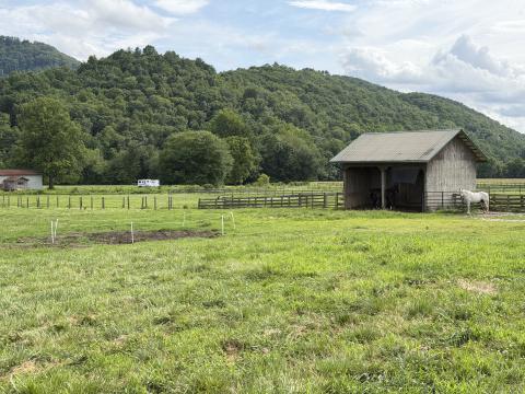 Pasture where the two horses were struck by lightning. The horses were buried next to the barn.