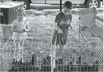 Children enjoying some of the 4-H animals from previous events. There will be several 4-H animals at the upcoming event on Saturday, Sept. 24.