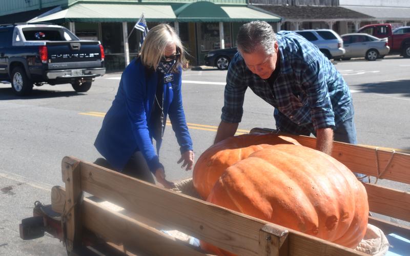 (Becky Long • Clay County Progress) Clay County Chamber of Commerce Director Pam Roman looks over a few of the pumpkins delivered to local businesses recently for the Chamber's pumpkin decorating contest. Chamber board member, David Alsobrook, right, handles the heavy work of unloading them to local businesses participating in the contest.