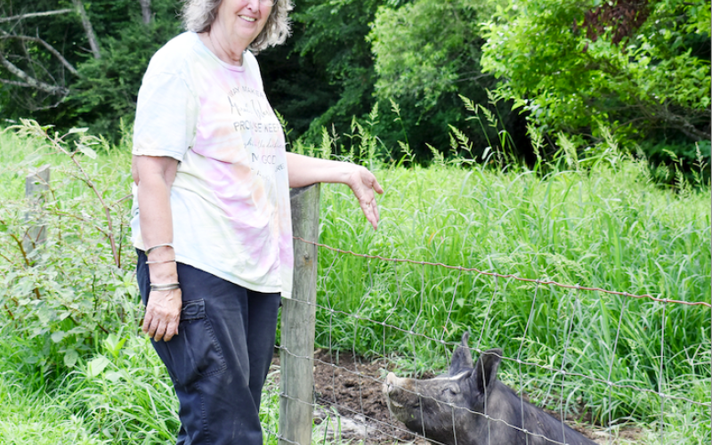 Marcia Barnes • Progress Kathy Gibby greets "Chestnut," a Berkshire pig on the family’s farm just off Fires Creek Road.